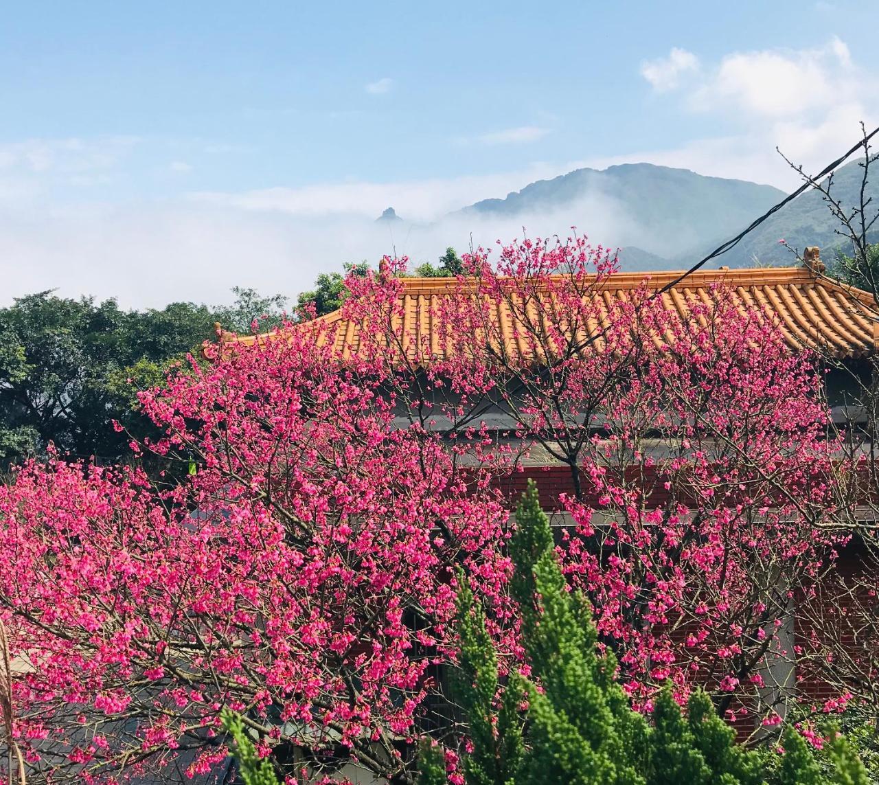 A-Home Jiufen Dış mekan fotoğraf